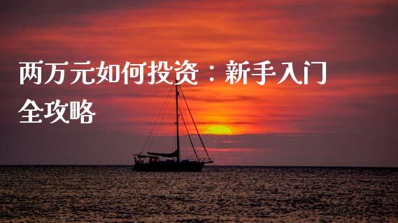 两万元如何投资：新手入门全攻略_https://cj002.lansai.wang_期货问答_第1张