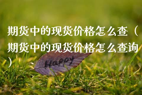 期货中的现货价格怎么查(期货中的现货价格怎么查询)_金融问答_第1张_财经百问网 期货中的现货价格怎么查(期货中的现货价格怎么查询)_https://cj002.lansai.wang_金融问答_第1张