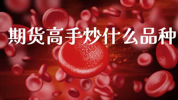 期货高手炒什么品种_https://cj002.lansai.wang_财经百问_第1张