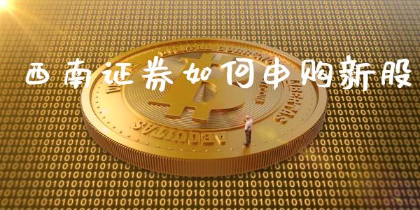 西南证券如何申购新股_https://cj002.lansai.wang_财经百问_第1张