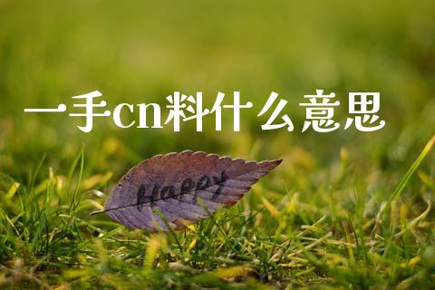 一手cn料什么意思_https://cj002.lansai.wang_股市问答_第1张