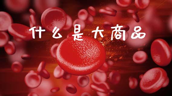 什么是大商品_https://cj002.lansai.wang_财经百问_第1张
