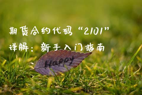 期货合约代码“2101”详解：新手入门指南_https://cj002.lansai.wang_股市问答_第1张