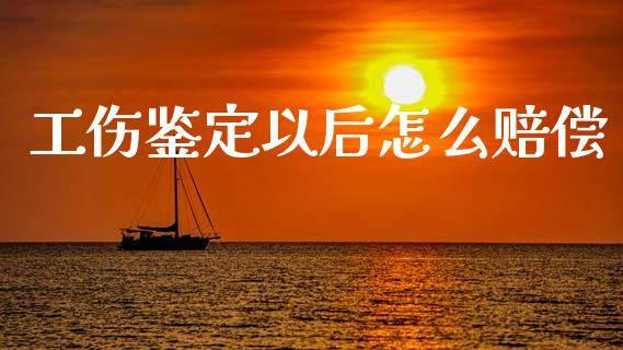 工伤鉴定以后怎么赔偿_https://cj002.lansai.wang_保险问答_第1张