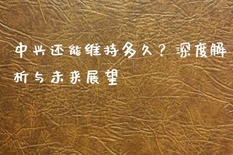 中兴还能维持多久？深度解析与未来展望_https://cj002.lansai.wang_理财问答_第1张