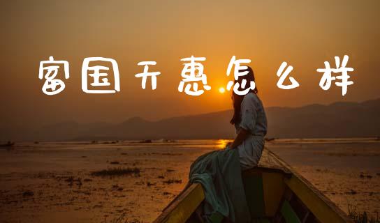 富国天惠怎么样_https://cj002.lansai.wang_财经百问_第1张