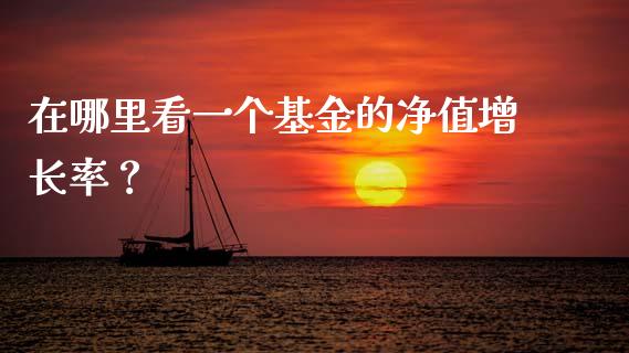 在哪里看一个基金的净值增长率？_https://cj002.lansai.wang_期货问答_第1张