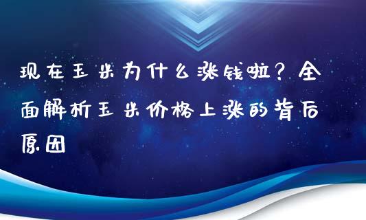 现在玉米为什么涨钱啦？全面解析玉米价格上涨的背后原因_https://cj002.lansai.wang_理财问答_第1张