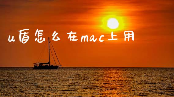 u盾怎么在mac上用_https://cj002.lansai.wang_金融问答_第1张
