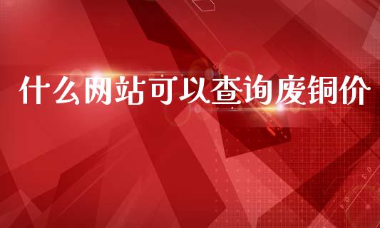 什么网站可以查询废铜价_https://cj002.lansai.wang_会计问答_第1张