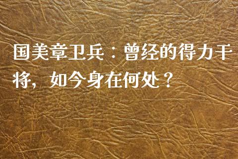 国美章卫兵：曾经的得力干将，如今身在何处？_https://cj002.lansai.wang_保险问答_第1张