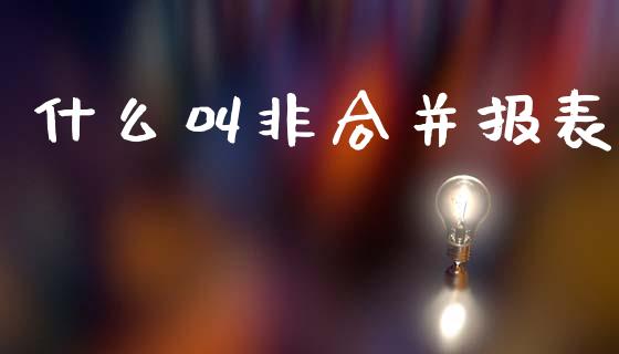 什么叫非合并报表_https://cj002.lansai.wang_会计问答_第1张