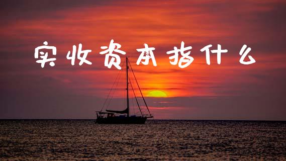 实收资本指什么_https://cj002.lansai.wang_会计问答_第1张