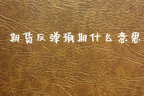 期货反弹预期什么意思_金融问答_第1张_财经百问网 期货反弹预期什么意思_https://cj002.lansai.wang_金融问答_第1张