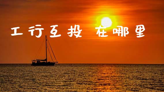 工行互投 在哪里_https://cj002.lansai.wang_理财问答_第1张