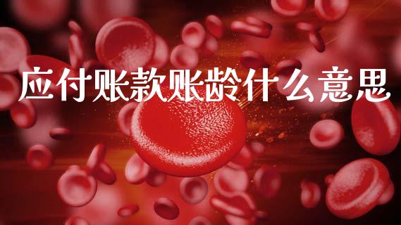 应付账款账龄什么意思_https://cj002.lansai.wang_会计问答_第1张