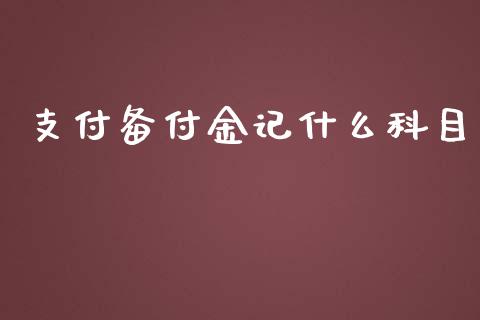 支付备付金记什么科目_https://cj002.lansai.wang_会计问答_第1张