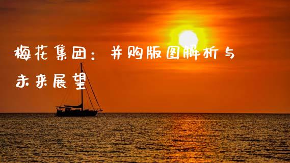 梅花集团：并购版图解析与未来展望_https://cj002.lansai.wang_会计问答_第1张