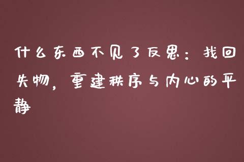 什么东西不见了反思：找回失物，重建秩序与内心的平静_https://cj002.lansai.wang_财经百问_第1张