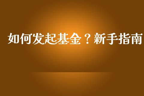如何发起基金？新手指南_https://cj002.lansai.wang_理财问答_第1张