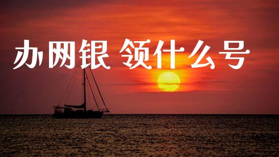 办网银 领什么号_https://cj002.lansai.wang_金融问答_第1张
