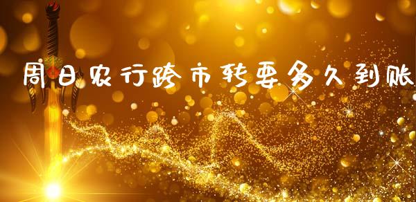 周日农行跨市转要多久到账_https://cj002.lansai.wang_理财问答_第1张