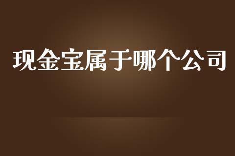 现金宝属于哪个公司_https://cj002.lansai.wang_财经问答_第1张