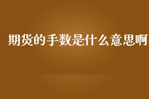 期货的手数是什么意思啊_https://cj002.lansai.wang_期货问答_第1张