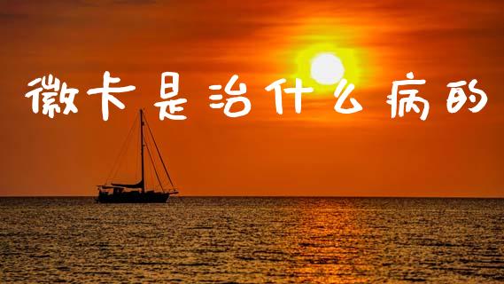 徽卡是治什么病的_https://cj002.lansai.wang_理财问答_第1张