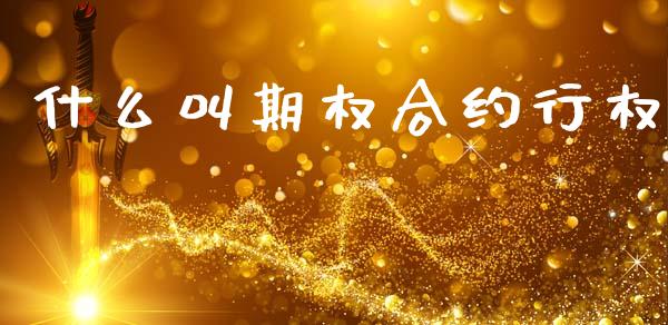 什么叫期权合约行权_https://cj002.lansai.wang_金融问答_第1张