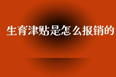 生育津贴是怎么报销的_https://cj002.lansai.wang_保险问答_第1张
