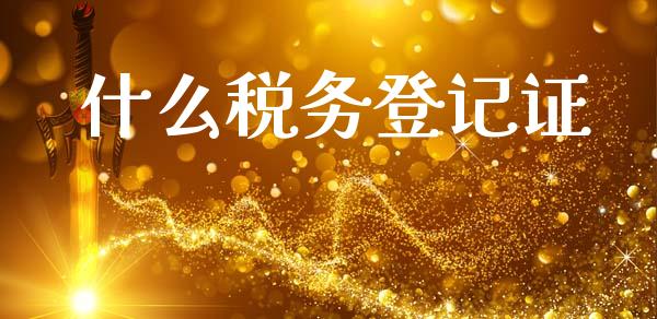 什么税务登记证_https://cj002.lansai.wang_会计问答_第1张