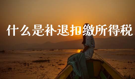 什么是补退扣缴所得税_https://cj002.lansai.wang_会计问答_第1张