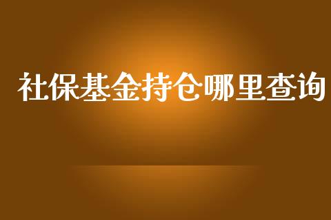 社保基金持仓哪里查询_https://cj002.lansai.wang_财经问答_第1张