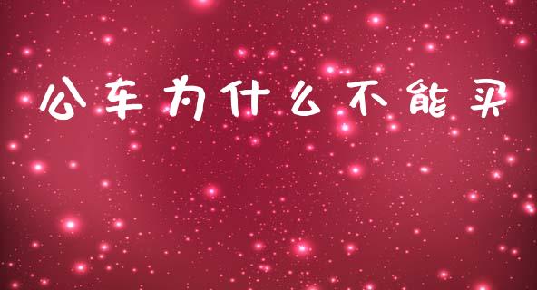公车为什么不能买_https://cj002.lansai.wang_期货问答_第1张