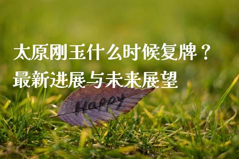 太原刚玉什么时候复牌？ 最新进展与未来展望_https://cj002.lansai.wang_理财问答_第1张
