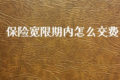 保险宽限期内怎么交费_https://cj002.lansai.wang_财经问答_第1张