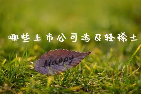 哪些上市公司涉及轻稀土_https://cj002.lansai.wang_保险问答_第1张