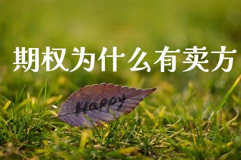 期权为什么有卖方_https://cj002.lansai.wang_理财问答_第1张