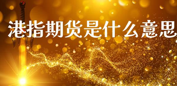 港指期货是什么意思_https://cj002.lansai.wang_期货问答_第1张