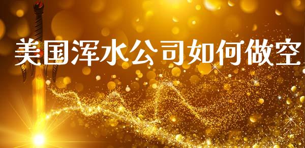 美国浑水公司如何做空_https://cj002.lansai.wang_理财问答_第1张