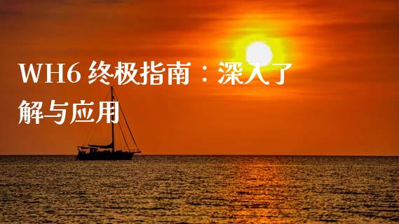 WH6 终极指南：深入了解与应用_https://cj002.lansai.wang_期货问答_第1张