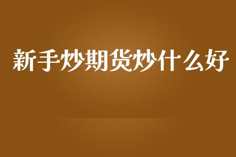 新手炒期货炒什么好_https://cj002.lansai.wang_期货问答_第1张