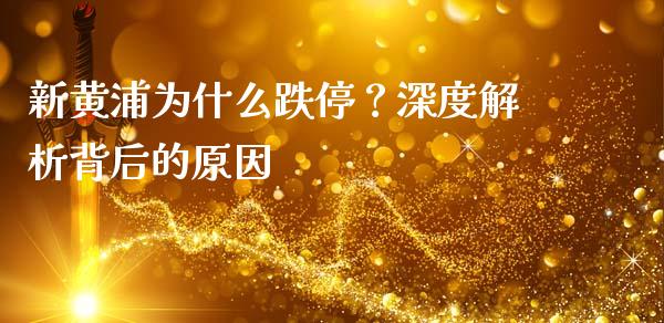 新黄浦为什么跌停？深度解析背后的原因_https://cj002.lansai.wang_金融问答_第1张