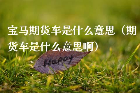 宝马期货车是什么意思(期货车是什么意思啊)_财经百问_第1张_财经百问网 宝马期货车是什么意思(期货车是什么意思啊)_https://cj002.lansai.wang_财经百问_第1张