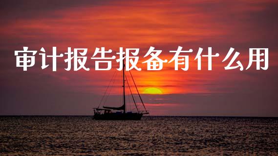 审计报告报备有什么用_https://cj002.lansai.wang_会计问答_第1张