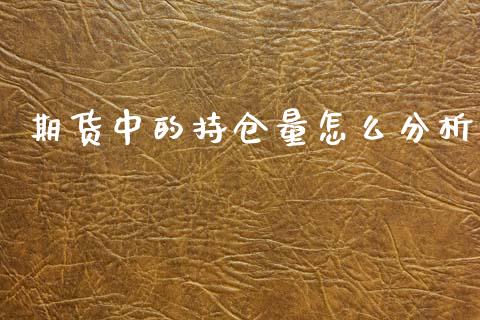 期货中的持仓量怎么分析_https://cj002.lansai.wang_会计问答_第1张