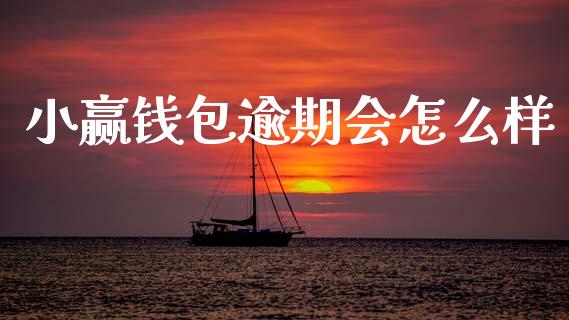 小赢钱包逾期会怎么样_https://cj002.lansai.wang_理财问答_第1张