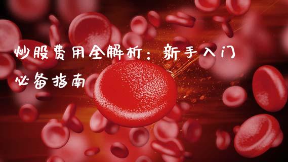 炒股费用全解析:新手入门必备指南_金融问答_第1张_财经百问网 炒股费用全解析:新手入门必备指南_https://cj002.lansai.wang_金融问答_第1张