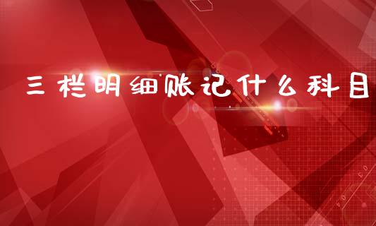 三栏明细账记什么科目_https://cj002.lansai.wang_会计问答_第1张